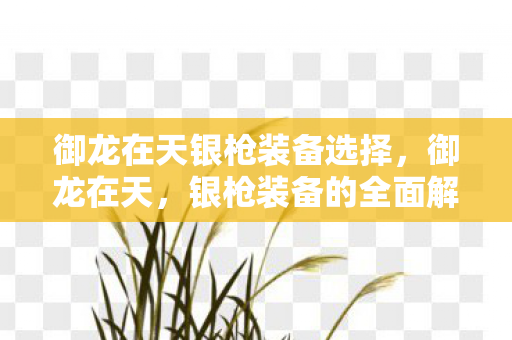 御龙在天银枪装备选择,御龙在天,银枪装备的全面解析 御龙在天银枪装备选择,御龙在天,银枪装备的全面解析