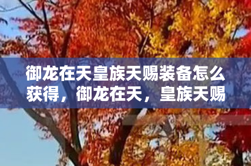 御龙在天皇族天赐装备怎么获得,御龙在天,皇族天赐装备的全面解析 御龙在天皇族天赐装备怎么获得,御龙在天,皇族天赐装备的全面解析