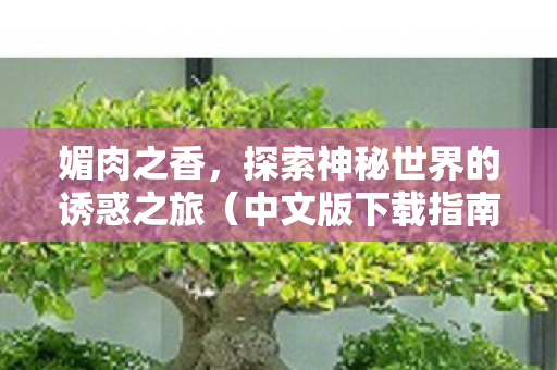 媚肉之香,探索神秘世界的诱惑之旅(中文版下载指南) 媚肉之香,探索神秘世界的诱惑之旅(中文版下载指南)