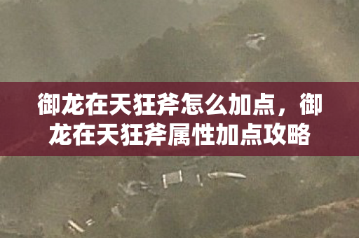 御龙在天狂斧怎么加点,御龙在天狂斧属性加点攻略 御龙在天狂斧怎么加点,御龙在天狂斧属性加点攻略