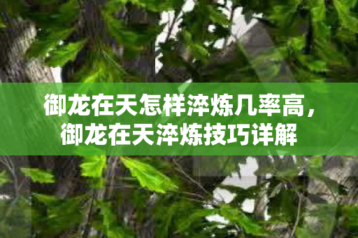 御龙在天怎样淬炼几率高,御龙在天淬炼技巧详解 御龙在天怎样淬炼几率高,御龙在天淬炼技巧详解