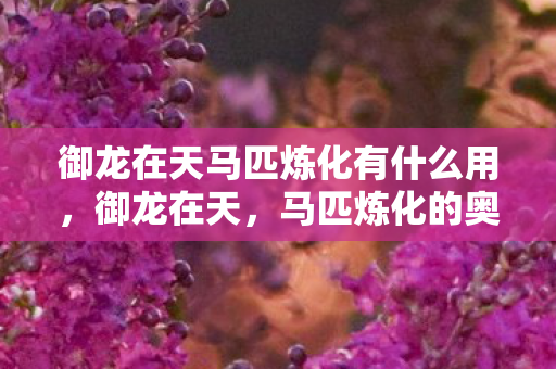 御龙在天马匹炼化有什么用,御龙在天,马匹炼化的奥秘 御龙在天马匹炼化有什么用,御龙在天,马匹炼化的奥秘