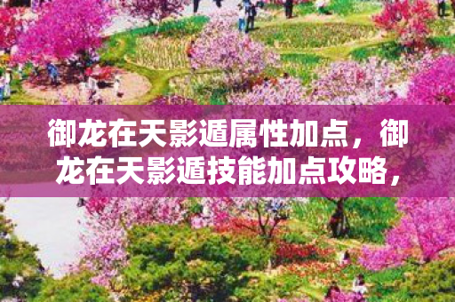御龙在天影遁属性加点,御龙在天影遁技能加点攻略,掌握核心,轻松提升角色实力 御龙在天影遁属性加点,御龙在天影遁技能加点攻略,掌握核心,轻松提升角色实力