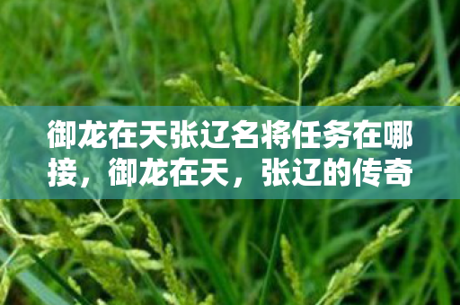 御龙在天张辽名将任务在哪接,御龙在天,张辽的传奇人生 御龙在天张辽名将任务在哪接,御龙在天,张辽的传奇人生