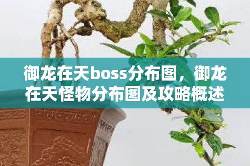 御龙在天boss分布图,御龙在天怪物分布图及攻略概述 御龙在天boss分布图,御龙在天怪物分布图及攻略概述