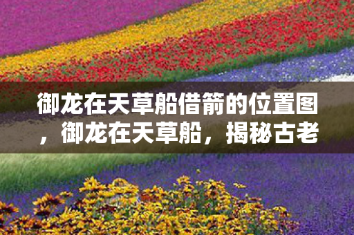御龙在天草船借箭的位置图,御龙在天草船,揭秘古老传说中的英勇传奇 御龙在天草船借箭的位置图,御龙在天草船,揭秘古老传说中的英勇传奇
