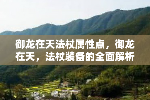 御龙在天法杖属性点，御龙在天，法杖装备的全面解析