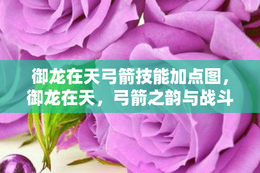 御龙在天弓箭技能加点图，御龙在天，弓箭之韵与战斗之魂