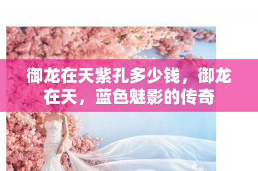御龙在天紫孔多少钱，御龙在天，蓝色魅影的传奇