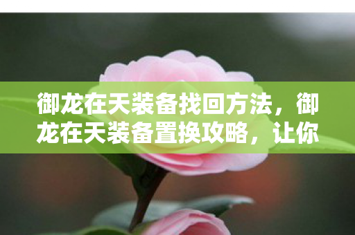 御龙在天装备找回方法,御龙在天装备置换攻略,让你轻松换装,战力飙升! 御龙在天装备找回方法,御龙在天装备置换攻略,让你轻松换装,战力飙升!