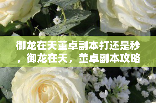 御龙在天董卓副本打还是秒,御龙在天,董卓副本攻略详解 御龙在天董卓副本打还是秒,御龙在天,董卓副本攻略详解
