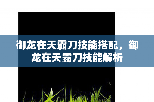 御龙在天霸刀技能搭配,御龙在天霸刀技能解析 御龙在天霸刀技能搭配,御龙在天霸刀技能解析