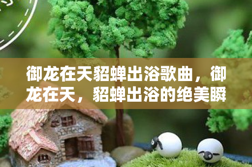御龙在天貂蝉出浴歌曲，御龙在天，貂蝉出浴的绝美瞬间