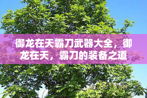 御龙在天霸刀武器大全，御龙在天，霸刀的装备之道