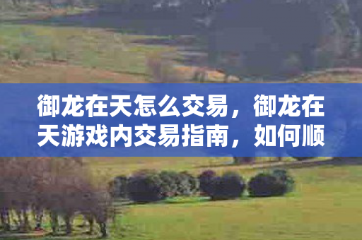 御龙在天怎么交易,御龙在天游戏内交易指南,如何顺利出售物品 御龙在天怎么交易,御龙在天游戏内交易指南,如何顺利出售物品