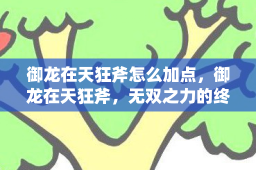 御龙在天狂斧怎么加点，御龙在天狂斧，无双之力的终极展现