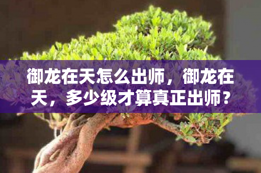 御龙在天怎么出师，御龙在天，多少级才算真正出师？