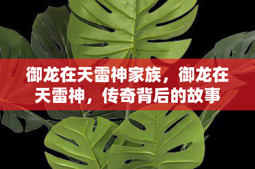 御龙在天雷神家族,御龙在天雷神,传奇背后的故事 御龙在天雷神家族,御龙在天雷神,传奇背后的故事
