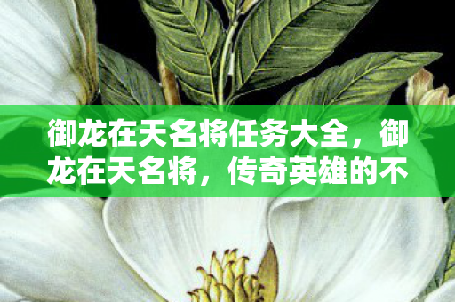 御龙在天名将任务大全，御龙在天名将，传奇英雄的不朽荣光