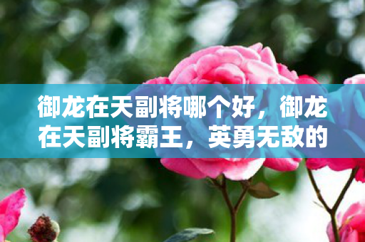 御龙在天副将哪个好,御龙在天副将霸王,英勇无敌的传奇人物 御龙在天副将哪个好,御龙在天副将霸王,英勇无敌的传奇人物