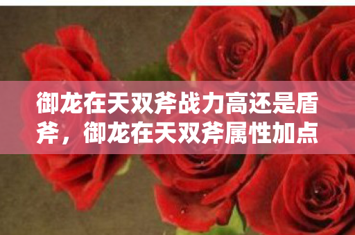 御龙在天双斧战力高还是盾斧，御龙在天双斧属性加点攻略，打造无敌战斗力的关键所在
