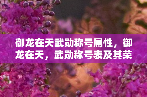 御龙在天武勋称号属性，御龙在天，武勋称号表及其荣耀传承
