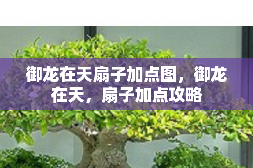 御龙在天扇子加点图,御龙在天,扇子加点攻略 御龙在天扇子加点图,御龙在天,扇子加点攻略