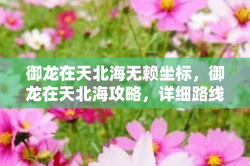 御龙在天北海无赖坐标，御龙在天北海攻略，详细路线指引