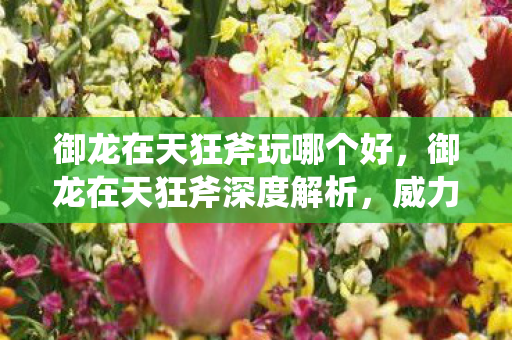 御龙在天狂斧玩哪个好,御龙在天狂斧深度解析,威力与特色的融合 御龙在天狂斧玩哪个好,御龙在天狂斧深度解析,威力与特色的融合