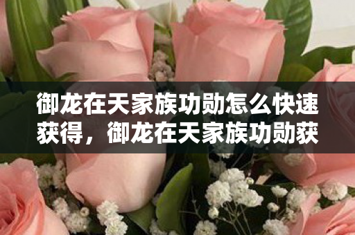御龙在天家族功勋怎么快速获得,御龙在天家族功勋获取攻略 御龙在天家族功勋怎么快速获得,御龙在天家族功勋获取攻略