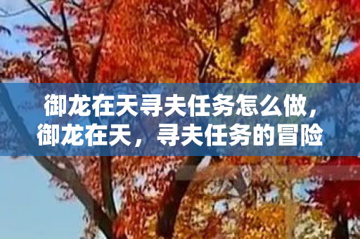 御龙在天寻夫任务怎么做，御龙在天，寻夫任务的冒险之旅