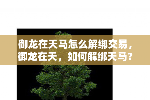 御龙在天马怎么解绑交易,御龙在天,如何解绑天马?详细步骤与注意事项 御龙在天马怎么解绑交易,御龙在天,如何解绑天马?详细步骤与注意事项