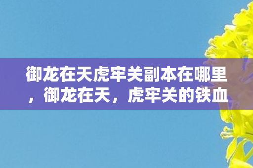 御龙在天虎牢关副本在哪里,御龙在天,虎牢关的铁血传奇 御龙在天虎牢关副本在哪里,御龙在天,虎牢关的铁血传奇