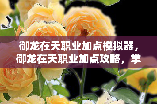 御龙在天职业加点模拟器,御龙在天职业加点攻略,掌握技能,提升实力 御龙在天职业加点模拟器,御龙在天职业加点攻略,掌握技能,提升实力