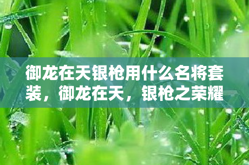 御龙在天银枪用什么名将套装,御龙在天,银枪之荣耀 御龙在天银枪用什么名将套装,御龙在天,银枪之荣耀