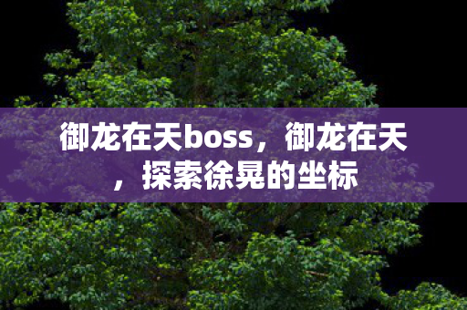 御龙在天boss,御龙在天,探索徐晃的坐标 御龙在天boss,御龙在天,探索徐晃的坐标