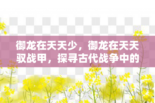 御龙在天天少，御龙在天天驭战甲，探寻古代战争中的英勇传奇