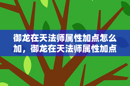 御龙在天法师属性加点怎么加,御龙在天法师属性加点攻略,提升你的战斗力与生存能力 御龙在天法师属性加点怎么加,御龙在天法师属性加点攻略,提升你的战斗力与生存能力