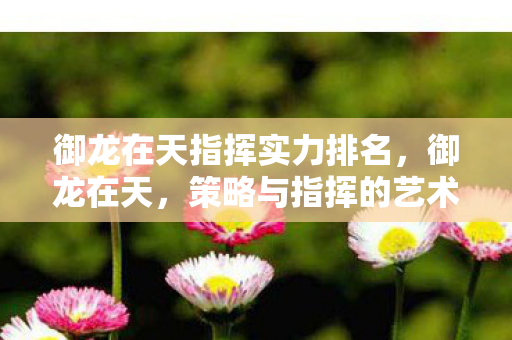御龙在天指挥实力排名,御龙在天,策略与指挥的艺术 御龙在天指挥实力排名,御龙在天,策略与指挥的艺术