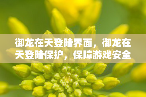 御龙在天登陆界面,御龙在天登陆保护,保障游戏安全的重要一环 御龙在天登陆界面,御龙在天登陆保护,保障游戏安全的重要一环
