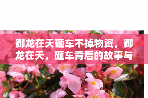 御龙在天砸车不掉物资,御龙在天,砸车背后的故事与挑战 御龙在天砸车不掉物资,御龙在天,砸车背后的故事与挑战