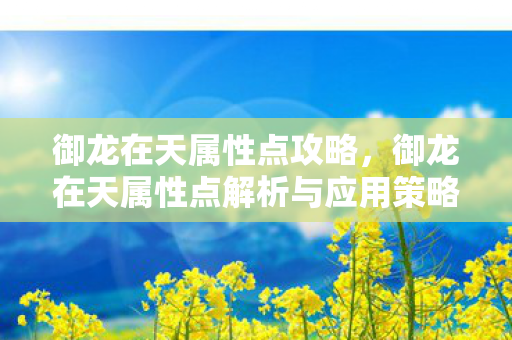 御龙在天属性点攻略,御龙在天属性点解析与应用策略 御龙在天属性点攻略,御龙在天属性点解析与应用策略