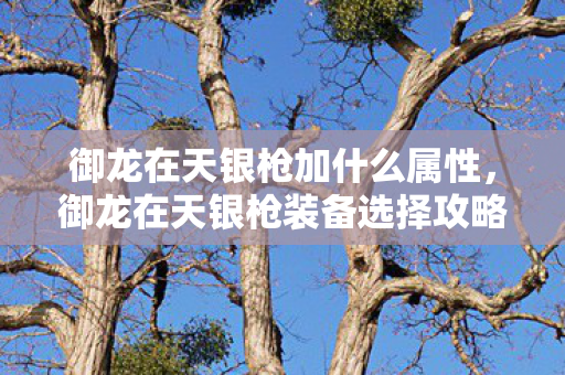 御龙在天银枪加什么属性,御龙在天银枪装备选择攻略 御龙在天银枪加什么属性,御龙在天银枪装备选择攻略