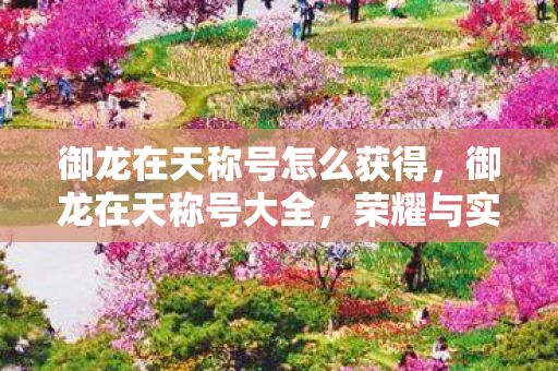 御龙在天称号怎么获得,御龙在天称号大全,荣耀与实力的象征 御龙在天称号怎么获得,御龙在天称号大全,荣耀与实力的象征