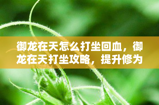 御龙在天怎么打坐回血,御龙在天打坐攻略,提升修为,轻松升级! 御龙在天怎么打坐回血,御龙在天打坐攻略,提升修为,轻松升级!