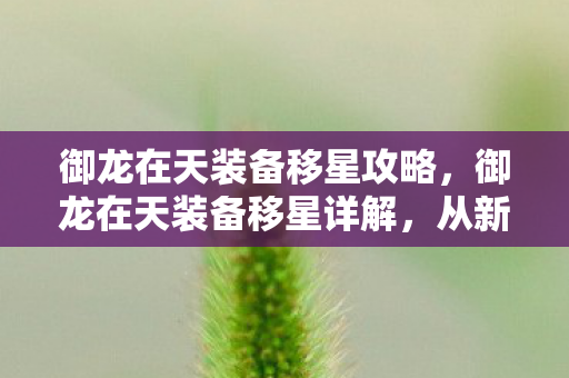 御龙在天装备移星攻略,御龙在天装备移星详解,从新手到高手的进阶指南 御龙在天装备移星攻略,御龙在天装备移星详解,从新手到高手的进阶指南
