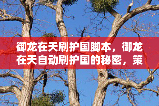 御龙在天刷护国脚本，御龙在天自动刷护国的秘密，策略与技巧详解