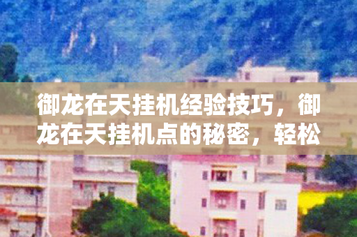 御龙在天挂机经验技巧，御龙在天挂机点的秘密，轻松升级，高效产出