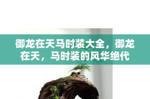 御龙在天马时装大全,御龙在天,马时装的风华绝代 御龙在天马时装大全,御龙在天,马时装的风华绝代