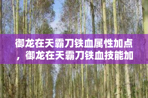 御龙在天霸刀铁血属性加点,御龙在天霸刀铁血技能加点攻略 御龙在天霸刀铁血属性加点,御龙在天霸刀铁血技能加点攻略